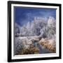 Winter Stream-Philippe Sainte-Laudy-Framed Photographic Print