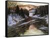 Winter Stream-Robert Blum-Framed Stretched Canvas