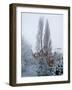 Winter Suburb-Charles Bowman-Framed Photographic Print