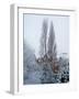 Winter Suburb-Charles Bowman-Framed Photographic Print