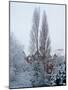Winter Suburb-Charles Bowman-Mounted Photographic Print