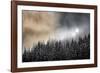 Winter Sun-Ursula Abresch-Framed Photographic Print