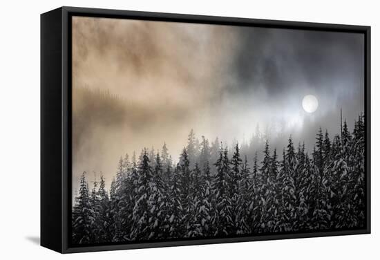 Winter Sun-Ursula Abresch-Framed Stretched Canvas