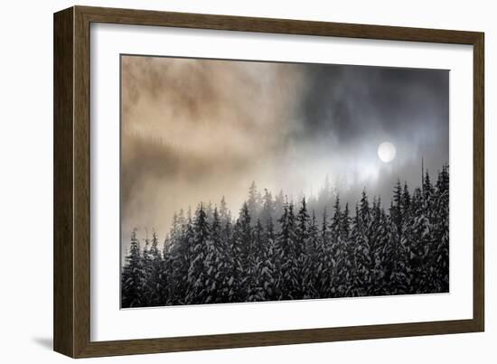 Winter Sun-Ursula Abresch-Framed Photographic Print