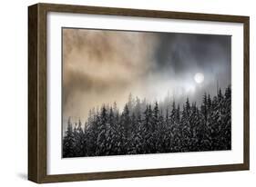 Winter Sun-Ursula Abresch-Framed Photographic Print