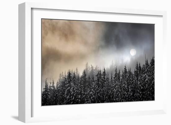 Winter Sun-Ursula Abresch-Framed Photographic Print