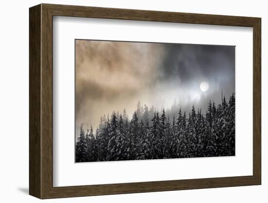 Winter Sun-Ursula Abresch-Framed Photographic Print