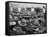 Winter Sunbathing Draws a Crowd to the Boardwalk-null-Framed Stretched Canvas