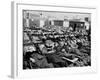 Winter Sunbathing Draws a Crowd to the Boardwalk-null-Framed Photographic Print