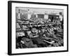 Winter Sunbathing Draws a Crowd to the Boardwalk-null-Framed Photographic Print