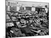 Winter Sunbathing Draws a Crowd to the Boardwalk-null-Mounted Photographic Print