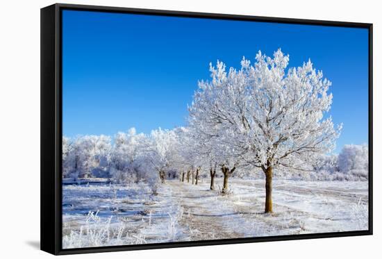 Winter Sunny Day-Carmian-Framed Stretched Canvas