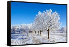 Winter Sunny Day-Carmian-Framed Stretched Canvas