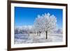 Winter Sunny Day-Carmian-Framed Photographic Print