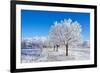 Winter Sunny Day-Carmian-Framed Photographic Print