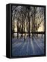 Winter Sunrise and Snow Covered Rural Landscape in the Countryside, Arrow Valley, Worcestershire, E-David Hughes-Framed Stretched Canvas