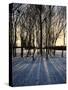Winter Sunrise and Snow Covered Rural Landscape in the Countryside, Arrow Valley, Worcestershire, E-David Hughes-Stretched Canvas