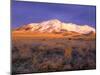 Winter Sunrise on Bloody Run Peak, Great Basin, Nevada, USA-Scott T. Smith-Mounted Photographic Print