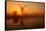 Winter sunrise over Thurne Mill, Norfolk Broads, Norfolk-Geraint Tellem-Framed Stretched Canvas