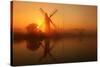 Winter sunrise over Thurne Mill, Norfolk Broads, Norfolk-Geraint Tellem-Stretched Canvas