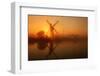 Winter sunrise over Thurne Mill, Norfolk Broads, Norfolk-Geraint Tellem-Framed Photographic Print