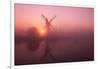 Winter sunrise, Thurne Mill, Norfolk Broads, Norfolk-Geraint Tellem-Framed Photographic Print