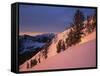 Winter Sunrise, Uinta-Wasatch-Cache National Forest, Utah, USA-Charles Gurche-Framed Stretched Canvas