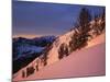 Winter Sunrise, Uinta-Wasatch-Cache National Forest, Utah, USA-Charles Gurche-Mounted Photographic Print