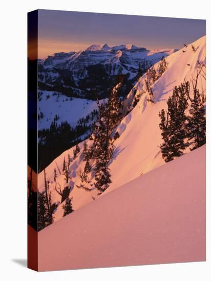 Winter Sunrise, Uinta-Wasatch-Cache National Forest, Utah, USA-Charles Gurche-Stretched Canvas