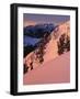 Winter Sunrise, Uinta-Wasatch-Cache National Forest, Utah, USA-Charles Gurche-Framed Photographic Print