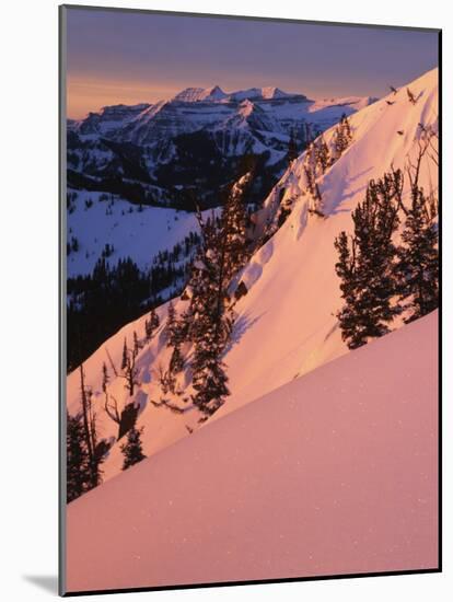 Winter Sunrise, Uinta-Wasatch-Cache National Forest, Utah, USA-Charles Gurche-Mounted Photographic Print