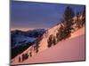 Winter Sunrise, Uinta-Wasatch-Cache National Forest, Utah, USA-Charles Gurche-Mounted Photographic Print