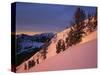 Winter Sunrise, Uinta-Wasatch-Cache National Forest, Utah, USA-Charles Gurche-Stretched Canvas
