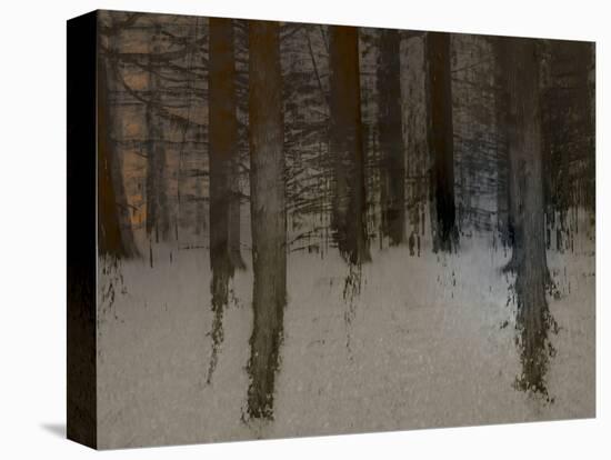 Winter Sunrise-Valda Bailey-Stretched Canvas