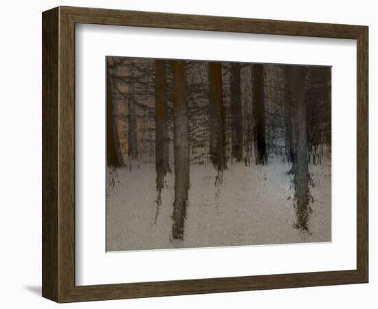 Winter Sunrise-Valda Bailey-Framed Photographic Print