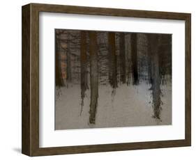 Winter Sunrise-Valda Bailey-Framed Photographic Print