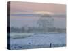 Winter Sunset, 1997-Gillian Furlong-Stretched Canvas