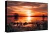 Winter Sunset at Merced Wildlife Refuge, California-null-Stretched Canvas