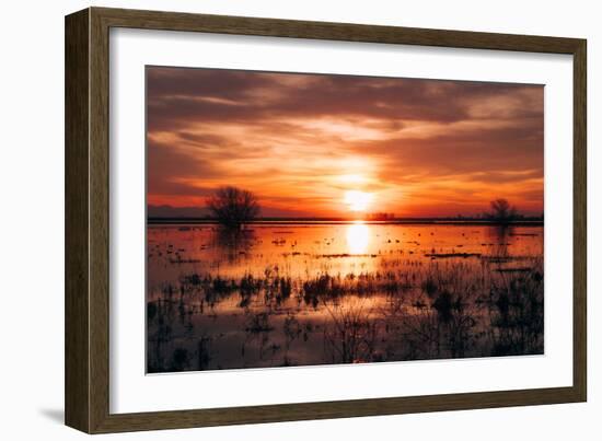 Winter Sunset at Merced Wildlife Refuge, California-null-Framed Photographic Print