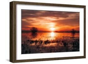 Winter Sunset at Merced Wildlife Refuge, California-null-Framed Photographic Print