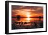 Winter Sunset at Merced Wildlife Refuge, California-null-Framed Photographic Print