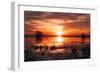 Winter Sunset at Merced Wildlife Refuge, California-null-Framed Photographic Print