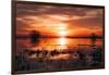 Winter Sunset at Merced Wildlife Refuge, California-null-Framed Photographic Print