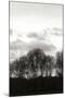 Winter Sunset BW III-Alan Hausenflock-Mounted Photographic Print