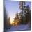 Winter Sunset in the Forest Near Oslo, Norway, Scandinavia, Europe-David Lomax-Mounted Photographic Print