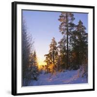 Winter Sunset in the Forest Near Oslo, Norway, Scandinavia, Europe-David Lomax-Framed Photographic Print