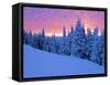 Winter Sunset, Mt Spokane State Park, Washington, USA-Charles Gurche-Framed Stretched Canvas