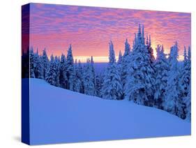 Winter Sunset, Mt Spokane State Park, Washington, USA-Charles Gurche-Stretched Canvas