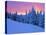 Winter Sunset, Mt Spokane State Park, Washington, USA-Charles Gurche-Stretched Canvas
