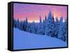 Winter Sunset, Mt Spokane State Park, Washington, USA-Charles Gurche-Framed Stretched Canvas